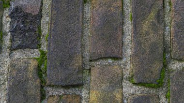 Eski bir kalenin duvarında yosun Eski bir tuğla duvarın yüzeyinde. 