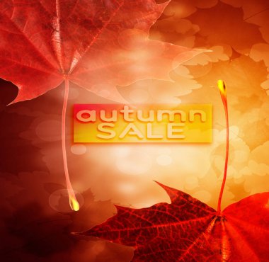 Akçaağaç yapraklı sonbahar indirimi afişi.