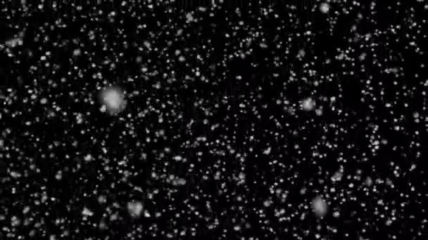 Hoge Kwaliteit Bewegings Animatie Sneeuw Vallende Geanimeerde Een Zwarte Achtergrond — Stockvideo