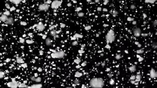 Płatki Śniegu Wysokiej Jakości Animacja Ruchowa Padający Śnieg Animowany Czarnym — Wideo stockowe
