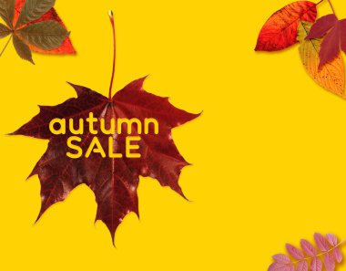 Karmaşık ağaç yapraklı sonbahar indirimi afişi.