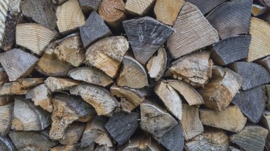 Yakacak odun. Şömine koruluğu 