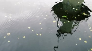 Eski rüzgar değirmeni ve bulutlar suda yansıyor