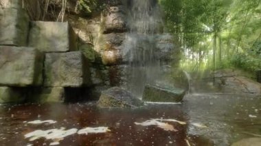 Tropik bir bambu ormanında şelale