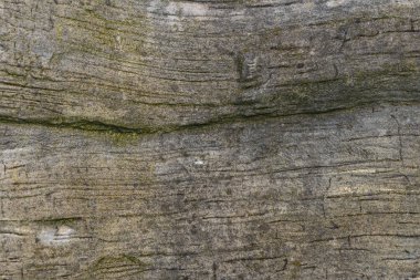 Kum taşı yüzeyi. Dokulu taş. 