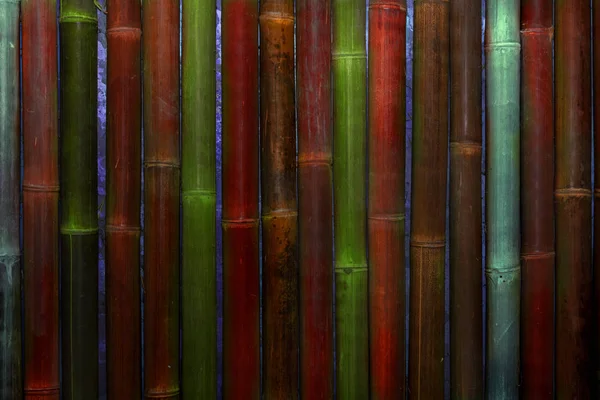 Bamboo rainforest. Bamboo plant. Bamboo trees in wood