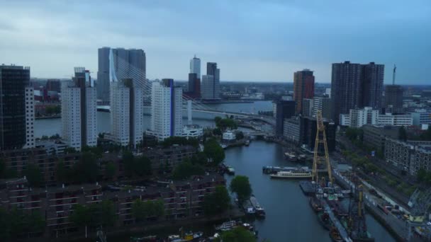 Night Rotterdam Panorama Europe City — Stock Video
