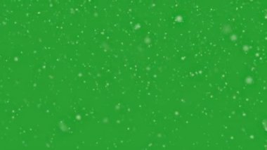 Yüksek kaliteli hareket animasyonu yeşil ekrana düşen karı yeniden canlandırıyor. Krom anahtar. Kar manzarası. Yüksek kaliteli hareket animasyonu yeşil ekrana düşen karı süründürüyor. Krom anahtar. Kar görüntüleri.