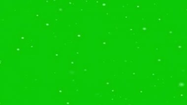 Yeşil ekrana düşen karı temsil eden yüksek kaliteli hareket animasyonu. Krom anahtar. Kar görüntüleri 