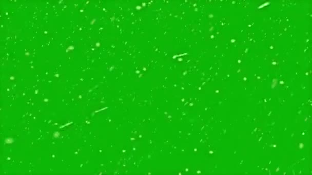 Animation Mouvement Haute Qualité Représentant Neige Tombant Sur Écran Vert — Video