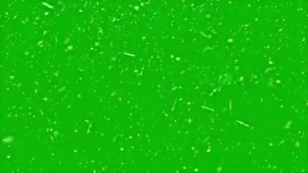 High Quality Motion Animation Representing Snow Falling Green Screen Chroma — Stock Video