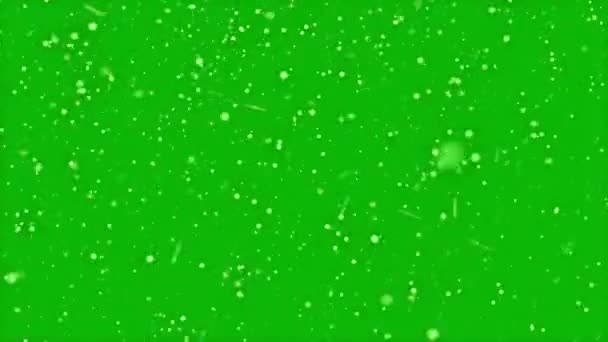 Animation Mouvement Haute Qualité Représentant Neige Tombant Sur Écran Vert — Video