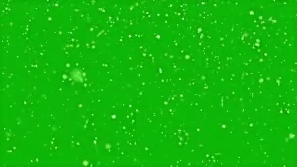 Animación Movimiento Alta Calidad Que Representa Nieve Que Cae Pantalla — Vídeo de stock