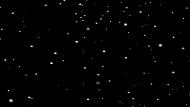 High Quality Motion Animation Representing Snow Falling Black Background Snowing — Stock Video