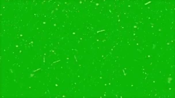 Wysokiej Jakości Animacja Ruchu Reprezentująca Śnieg Padający Zielony Ekran Klucz — Wideo stockowe