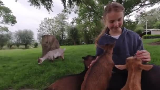 幸せな女の子は動物園で小さなヤギの世話をする — ストック動画
