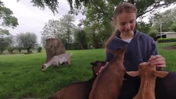 Ragazza Felice Prende Cura Una Piccola Capra Nella Fattoria Degli — Video Stock