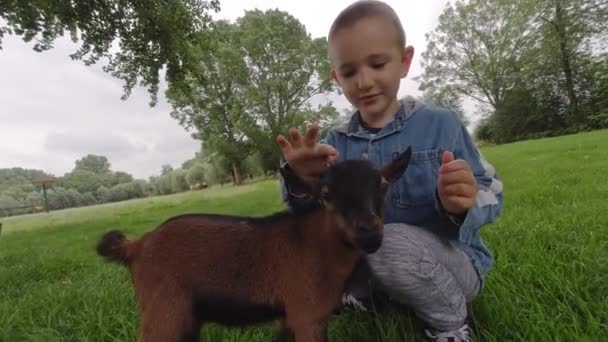 Szczęśliwy Chłopiec Dba Małą Kozę Farmie Zwierząt — Wideo stockowe