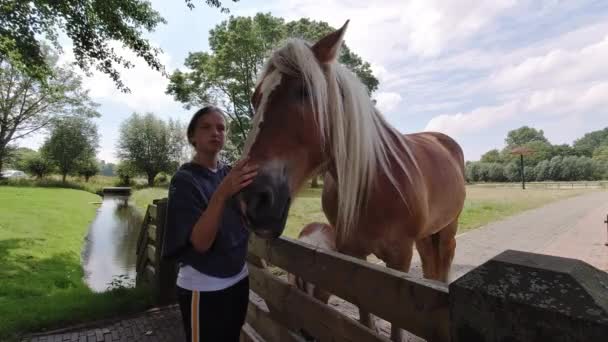 Linda Chica Acariciando Una Cabeza Caballo Niños Cuidan Animal Granja — Vídeo de stock