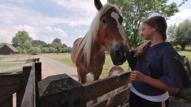 Kafasını Okşayan Tatlı Bir Kız Hayvanlara Şefkat Şefkat — Stok video