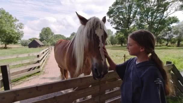 Cute Girl Stroking Horse Head Tenderness Caring Animals Concept — Stock Video