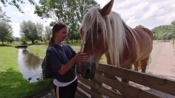 Schattig Meisje Met Een Paardenhoofd Gevoeligheid Zorg Voor Dieren Concept — Stockvideo