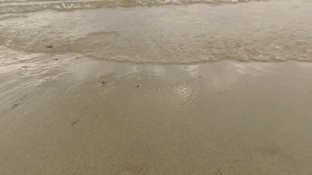 Dalgalar Denizin Kumlu Sahillerinde Akar Yakın Plan Yüksek Kalite Görüntü — Stok video