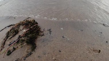  Dalgalar denizin kumlu sahillerinde akar. Yakın plan. Yüksek kalite 4K sancak.