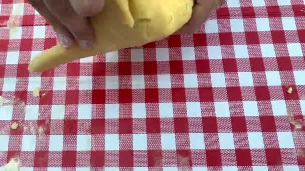 Ragazza Impasta Impasto Con Mani Processo Fabbricazione Sbattere Pasta — Video Stock