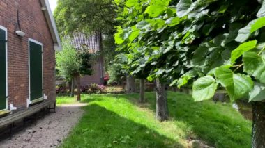 Yaz manzarası. Doğal güzellik ve köy manzarasındaki doğal yeşillik bitkileri.