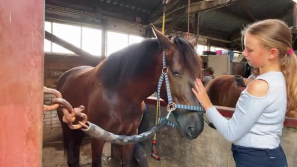 Nettes Teenager Mädchen Ist Geschirrter Hengst Mädchen Putzen Und Kümmern — Stockvideo