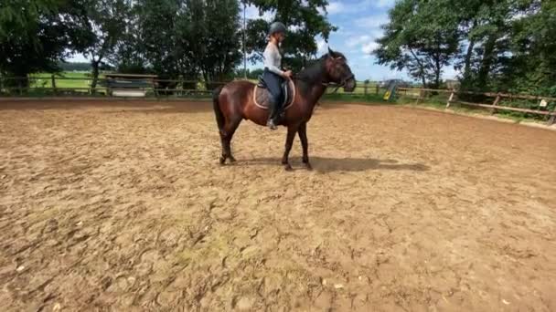 Νεαρή Κοπέλα Ιππέας Κάθεται Πάνω Άλογο Καλοκαίρι Ηλιόλουστη Μέρα Παιδιά — Αρχείο Βίντεο