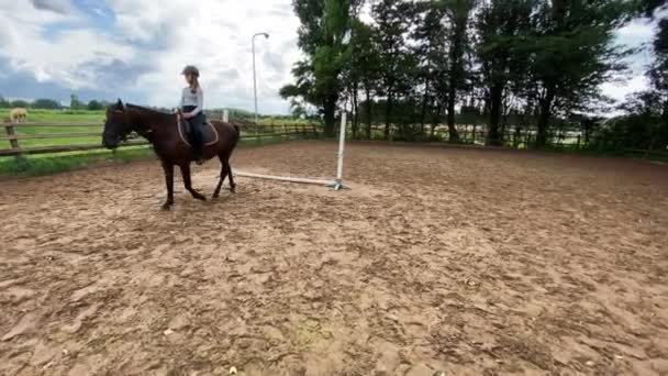 Jovem Cavaleiro Está Sentado Cavalo Dia Ensolarado Verão Crianças Rancho — Vídeo de Stock