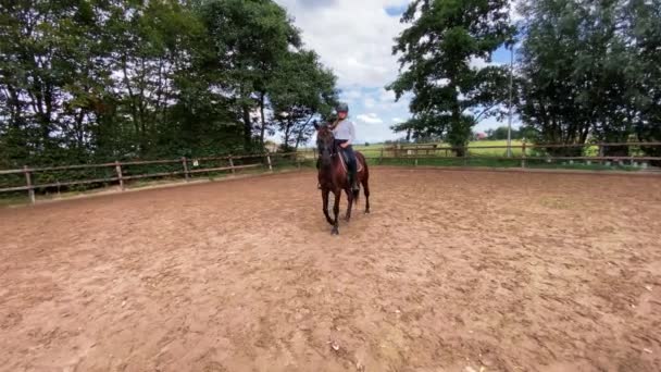 Jovencita Jinete Está Sentado Caballo Verano Día Soleado Niños Rancho — Vídeo de stock