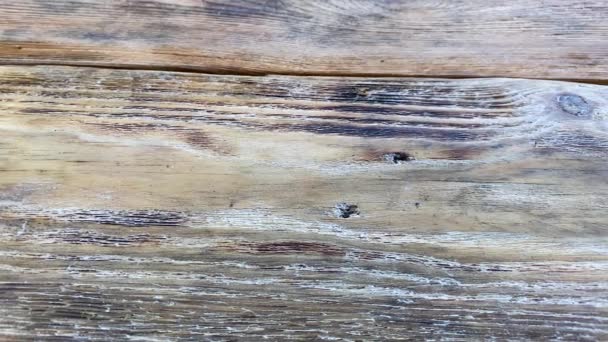 有裂缝和污迹的旧木板的结构 木制桌面的背景摘要 — 图库视频影像