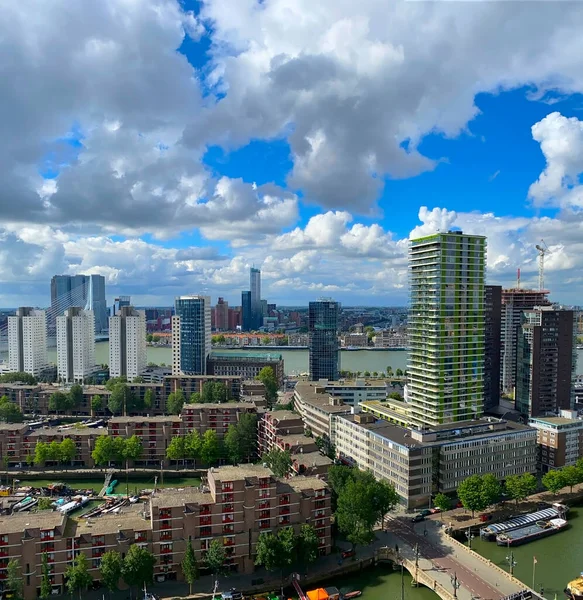 Rotterdam Şehrinin Siluetinin Güzel Dramatik Bir Panoramik Çekimi — Stok fotoğraf