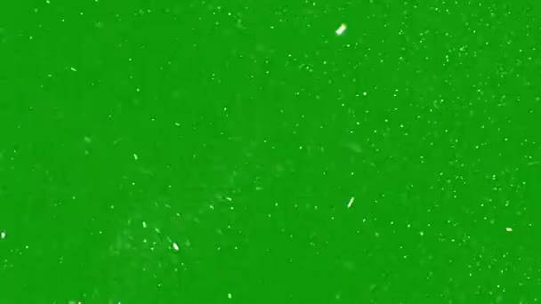 Snowing Footage Christmas Snow Storm Chroma Key Green Screen Background — Stock Video