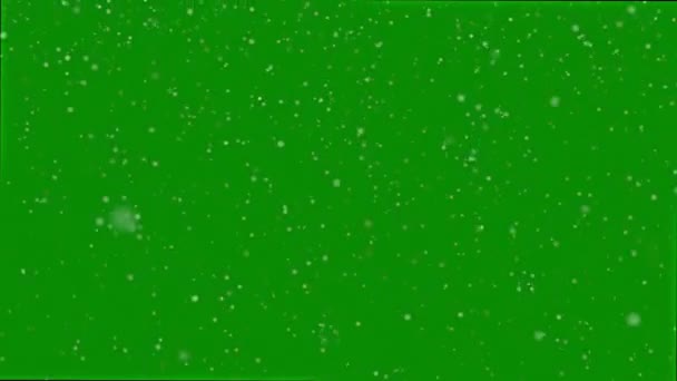 Snowing Footage Christmas Snow Chroma Key Green Screen Background — Stock Video