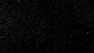 İzole kar yağıyor. Noel kar fırtınası. Noel havası. Kar görüntüleri