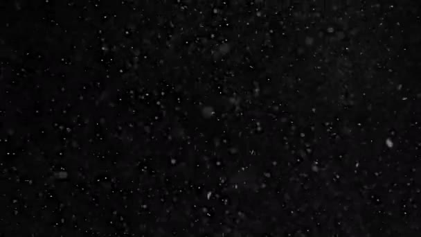Vereinzelter Schneesturm Weihnachtswetter Schneematsch — Stockvideo
