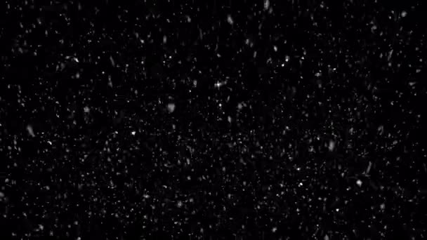 Сильный Снегопад Черном Фоне Снежная Буря — стоковое видео