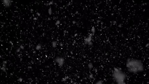 Zware Sneeuwval Een Zwarte Achtergrond Sneeuwstorm Sneeuw — Stockvideo