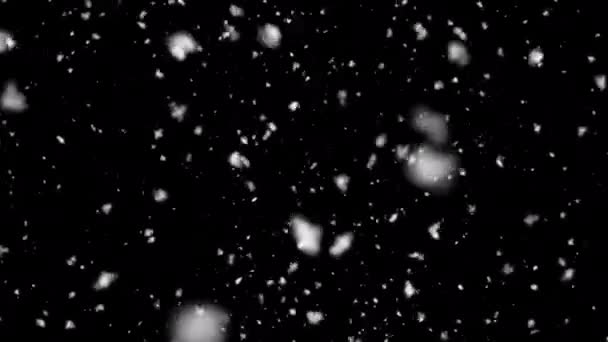 Fortes Chutes Neige Sur Fond Noir Blizzard Neige — Video