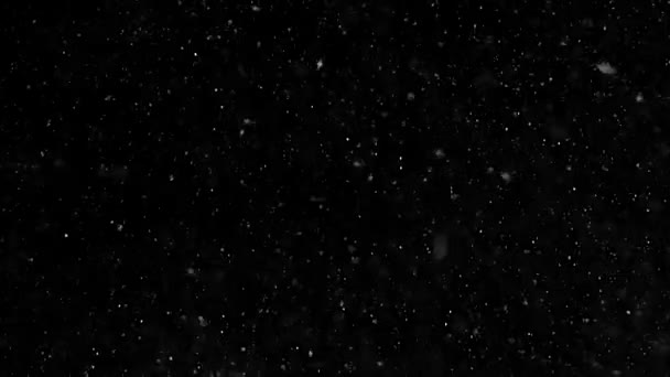 Duże Opady Śniegu Czarnym Tle Śnieżyca — Wideo stockowe