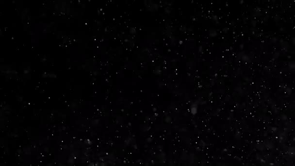 Siyah Arka Planda Şiddetli Kar Yağışı Kar Fırtınası — Stok video