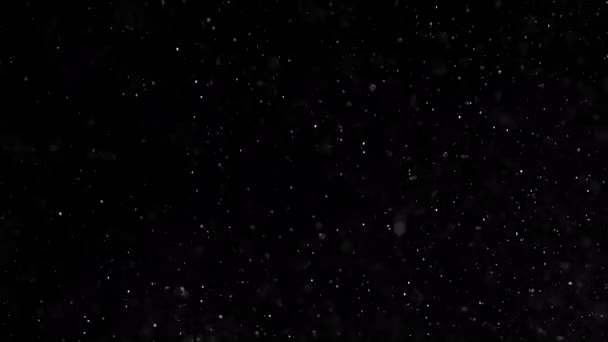 Fortes Chutes Neige Sur Fond Noir Blizzard Neige — Video