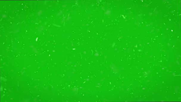 Duże Opady Śniegu Chroma Key Zielony Ekran Tła Śnieżyca — Wideo stockowe