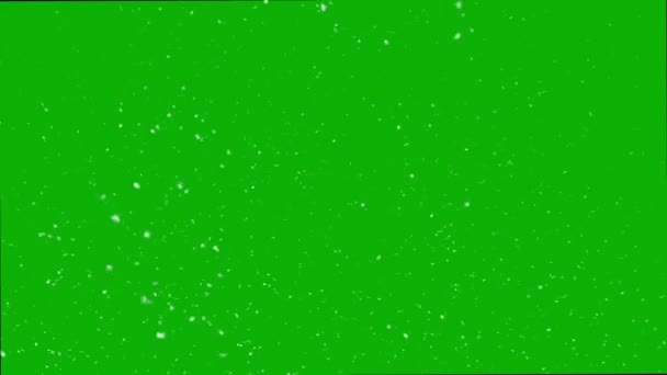 Erős Hóesés Chroma Kulcs Zöld Képernyő Háttér Hóvihar Havazik — Stock videók