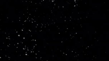 Kar görüntüleri. İzole edilmiş siyah arka planda düşen kar taneleri. Noel havası