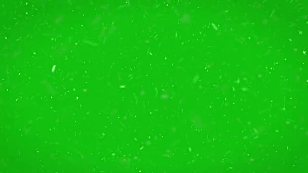 Сильный Снегопад Зеленым Цветовым Фоном Снежная Буря — стоковое видео